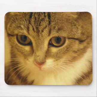 kitty mouse pad