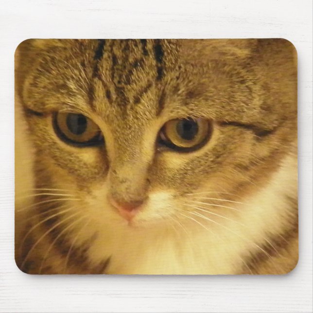 kitty mouse pad (Front)