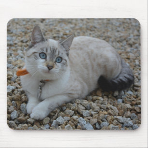 Kitty Mouse Pad