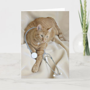 Kitty obtenir carte de puits