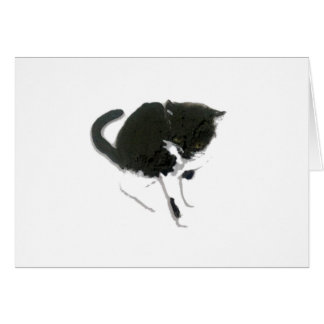 Kitty Painting Black and White Cat