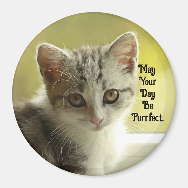 Kitty Parfaite Magnet (Devant)