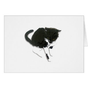 Kitty Peinture Chat noir et blanc