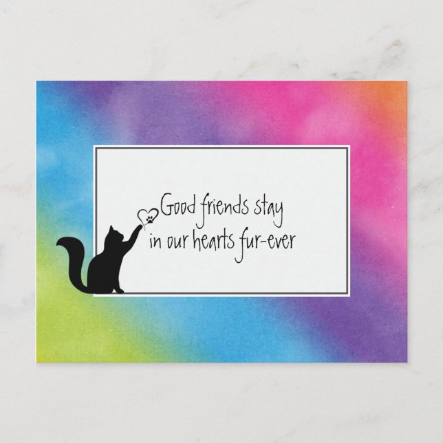 Kitty Pet Loss Sympathy from Vet Postcard (Front)