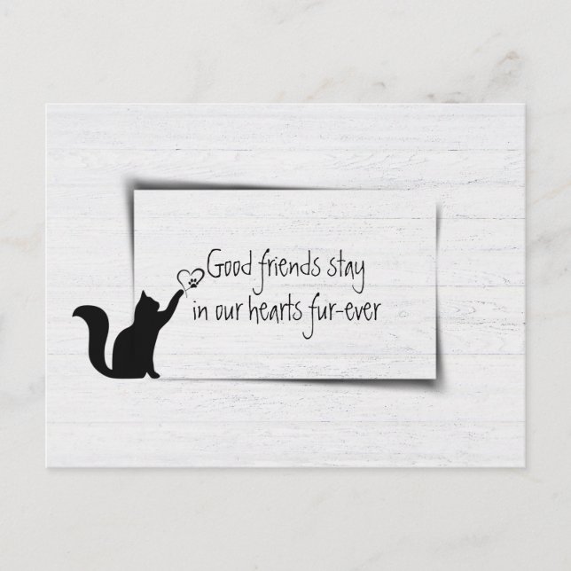 Kitty Pet Loss Sympathy from Veterinary  Postcard (Front)