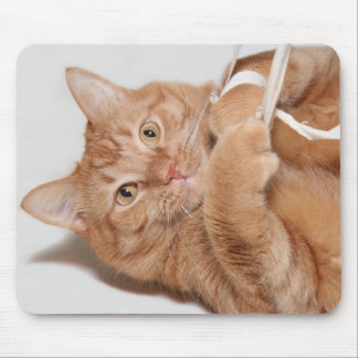 Kitty plays mouse pad