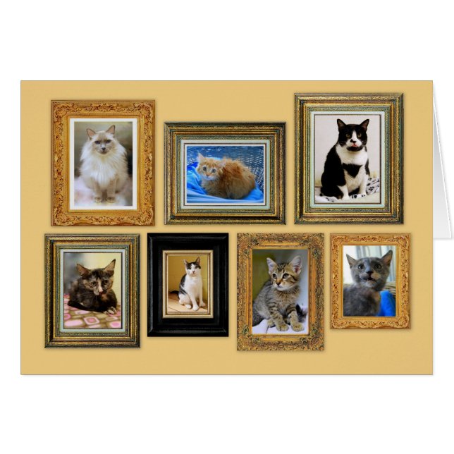 Kitty Portrait Gallery Card (Front Horizontal)