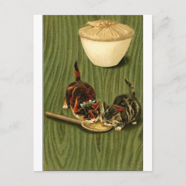 Kitty Postcard (Front)