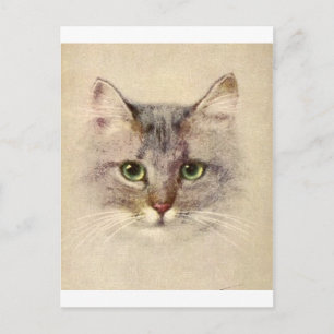 Kitty Postcard