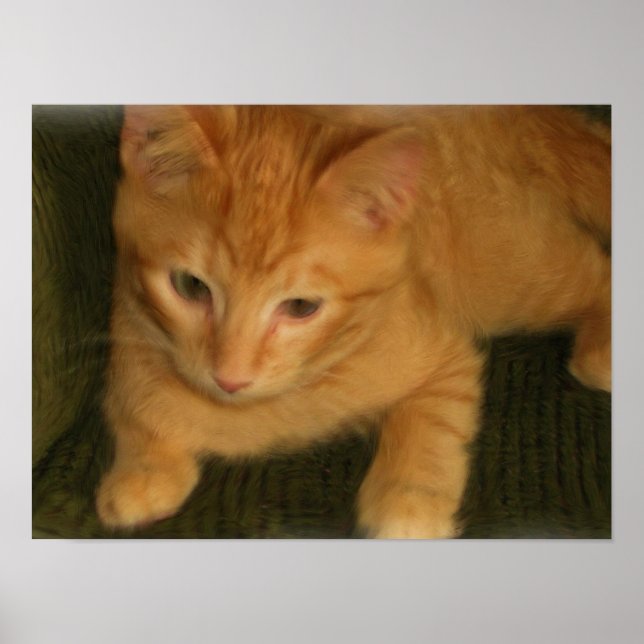 Kitty Poster (Front)