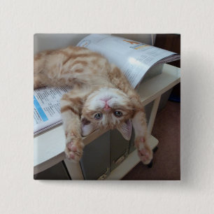 Kitty Relaxing 2 Inch Square Button
