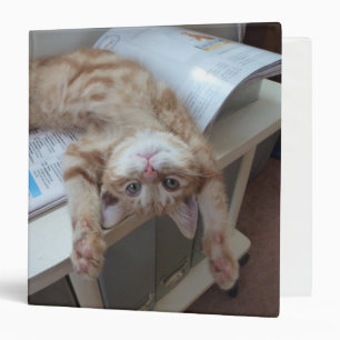 Kitty Relaxing Binder