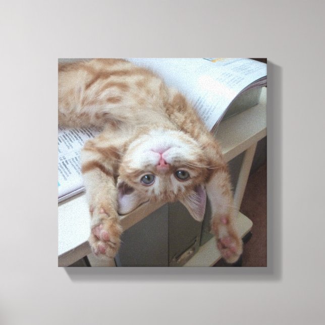 Kitty Relaxing Canvas Print (Front)