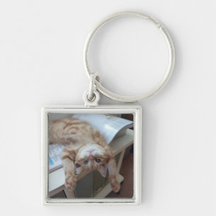 Kitty Relaxing Keychain