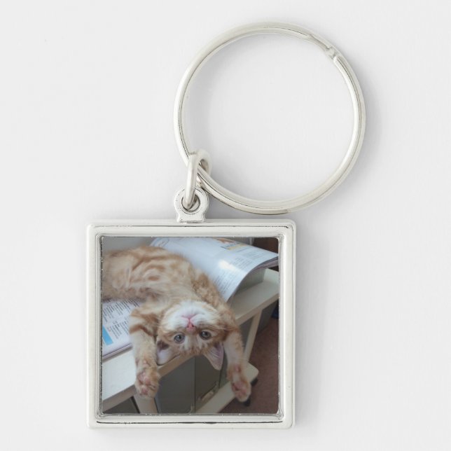 Kitty Relaxing Keychain (Front)