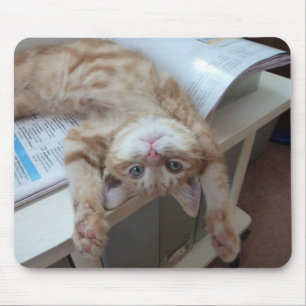 Kitty Relaxing Mouse Pad