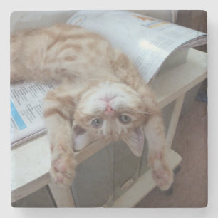 Kitty Relaxing Stone Coaster