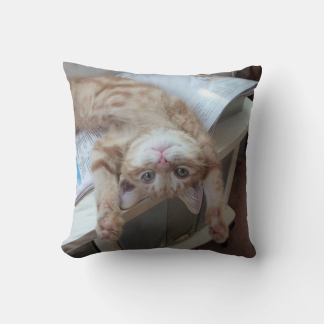 Kitty Relaxing Throw Pillow (Front)