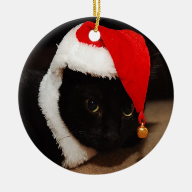 Kitty Santa ornament (Front)