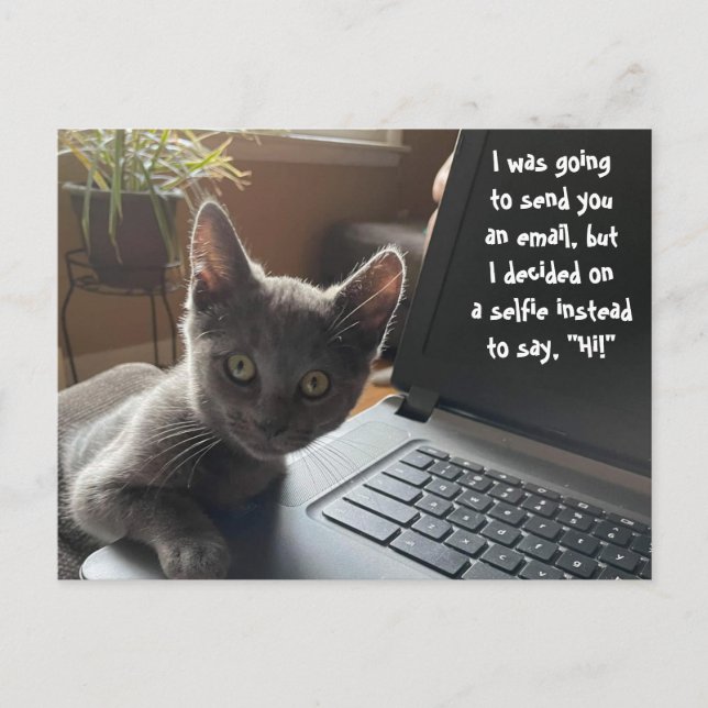KITTY SELFIE HELLO  POSTCARD (Front)
