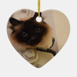 Kitty Siamese Cute Cat Pet Purr Meow Destiny Ceramic Ornament