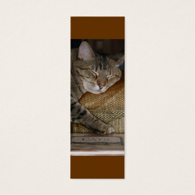 Kitty Sleep Profile Card (Front)