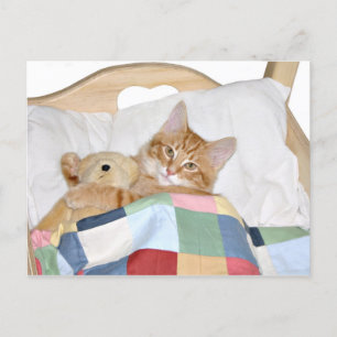 Kitty sleeping with Teddy Postcard