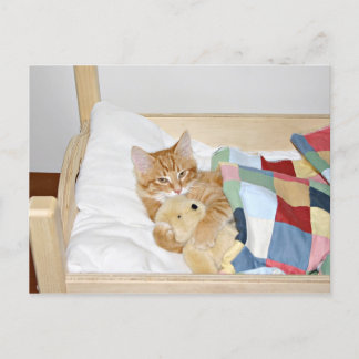 Kitty sleeps with teddy postcard