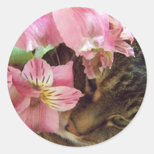 kitty smelling Flower stickers