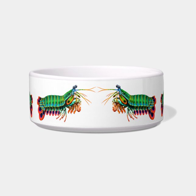 Kitty Sushi Mantis Shrimp Cat Bowl (Front)