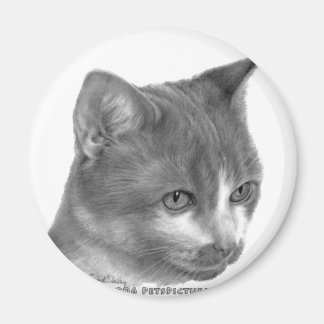 Kitty, Tabby Cat Magnet