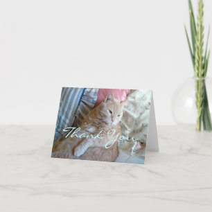 Kitty Thank You Card
