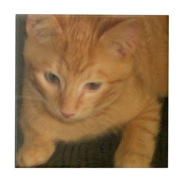 Kitty Tile (Front)