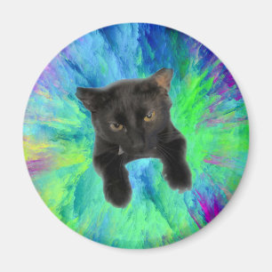 Kitty to hold papers to fridge magnet