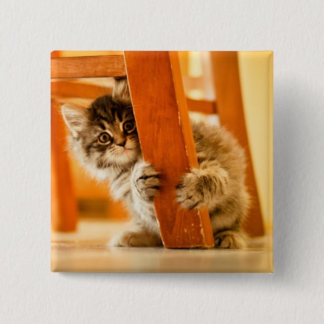 Kitty Under Chair 2 Inch Square Button (Front)