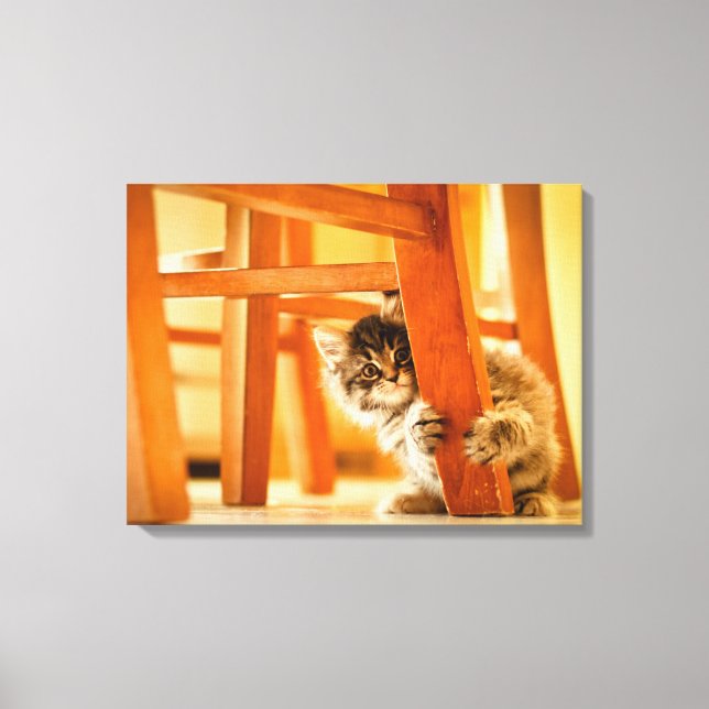 Kitty Under Chair Canvas Print (Front)