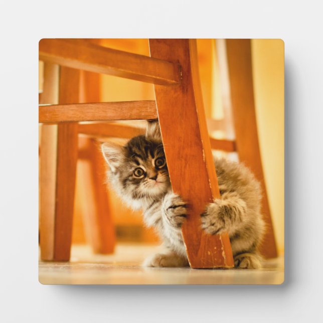Kitty Under Chair Plaque (Front)