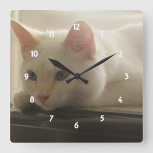 Kitty Wall Clock