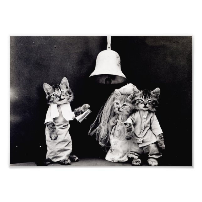 Kitty Wedding Photo Print (Front)