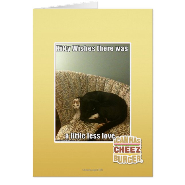 Kitty Wishes (Front)