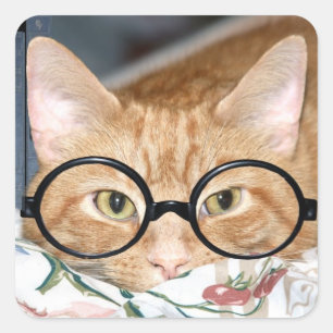 Kitty with glasses square sticker