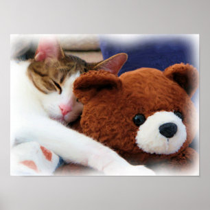 Kitty with Teddy Bear Print