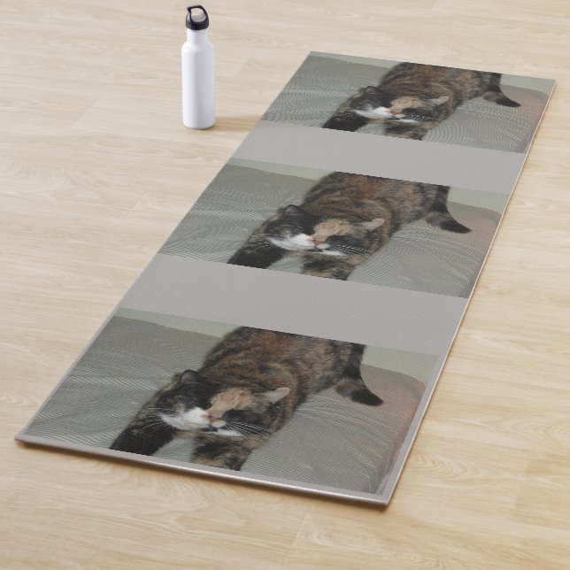 Kitty Yoga Yoga Mat (In Situ)