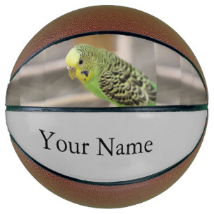 Kiwi Basketball