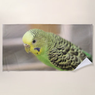 Kiwi Beach Towel
