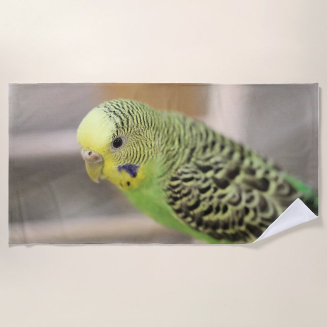 Kiwi Beach Towel (Front)