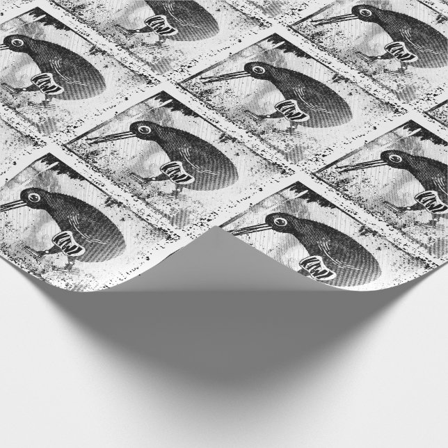 Kiwi bird black and white wrapping paper (Corner)