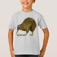 Kiwi bird New Zealand