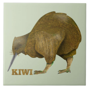 Kiwi bird New Zealand Tile