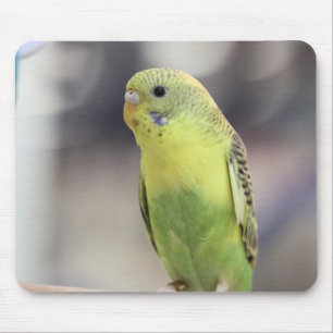 Kiwi Burbell Mouse Pad